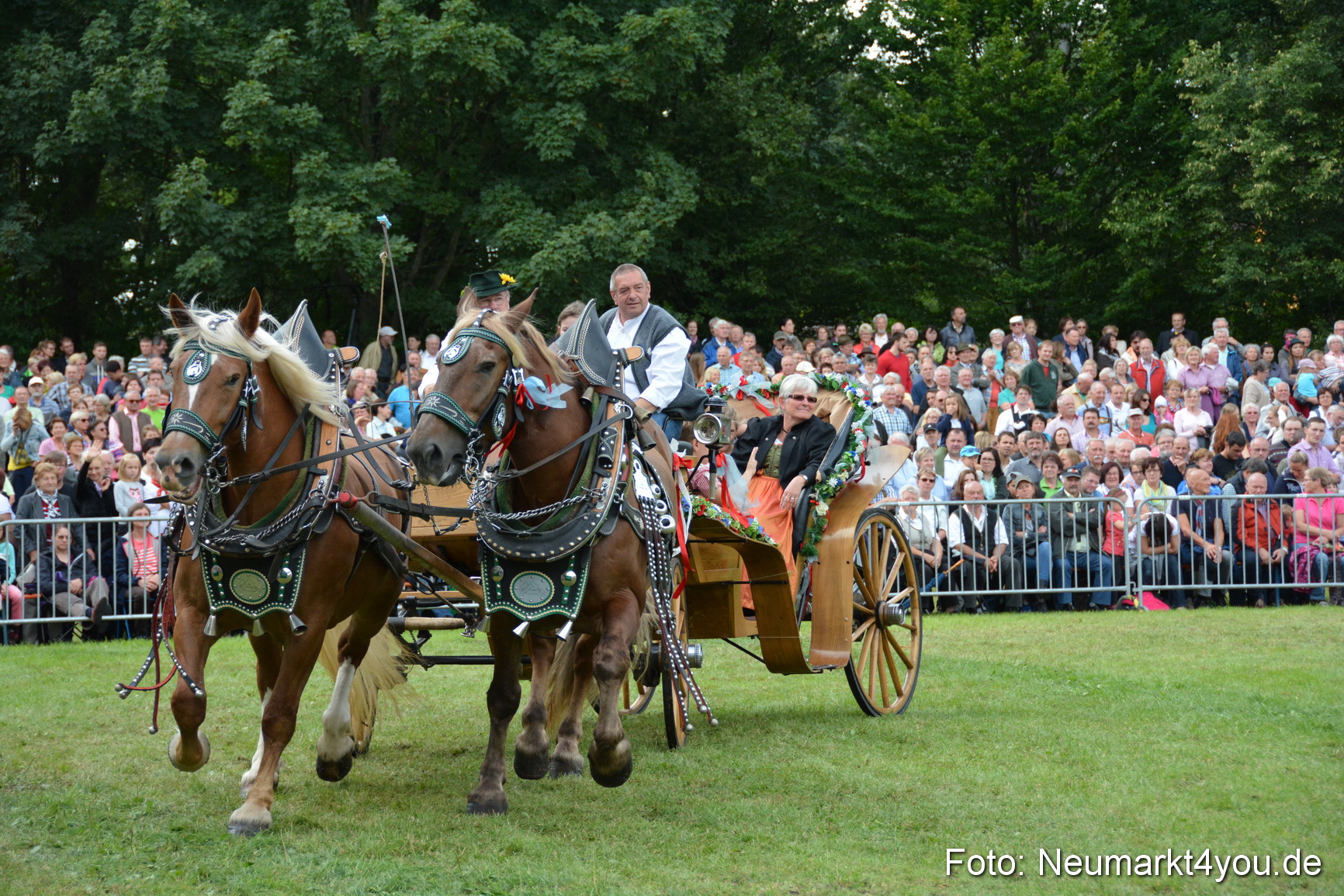 Pferdeschau JURA Volksfest 180814 0407