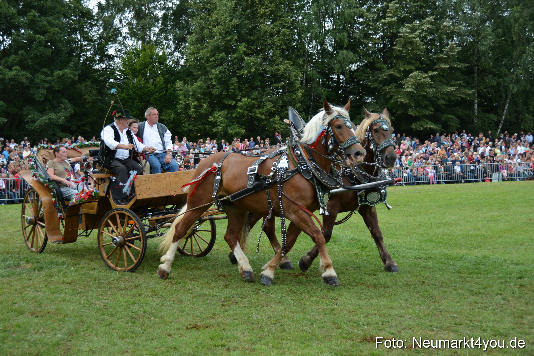 Pferdeschau JURA Volksfest 180814 0408