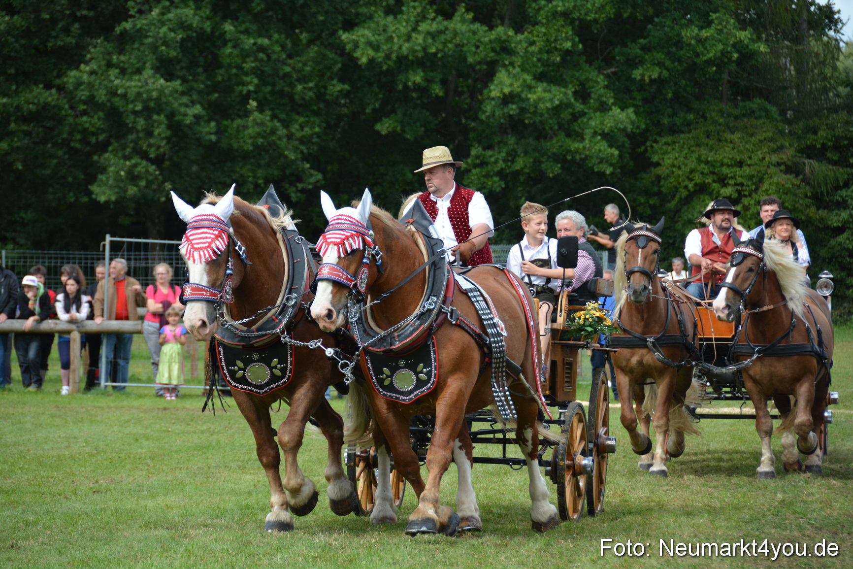 Pferdeschau JURA Volksfest 180814 0411