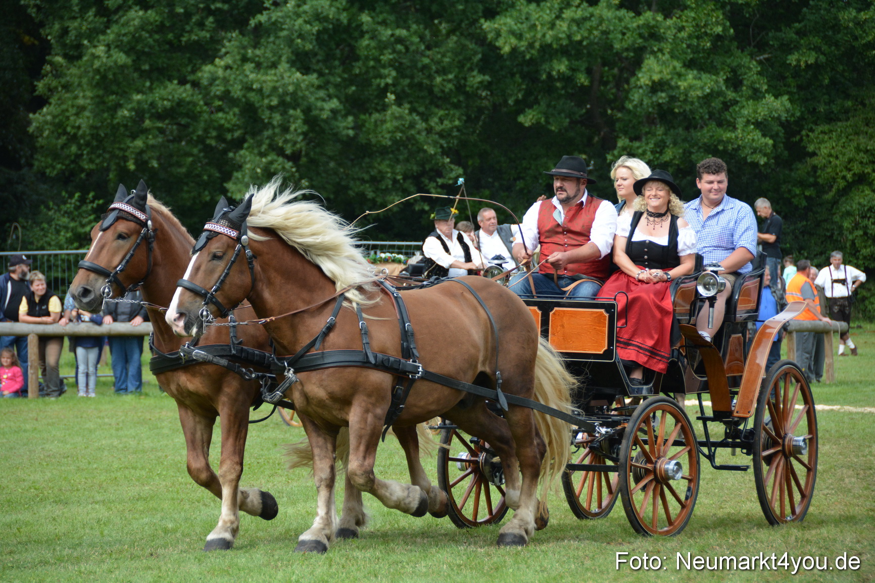 Pferdeschau JURA Volksfest 180814 0412