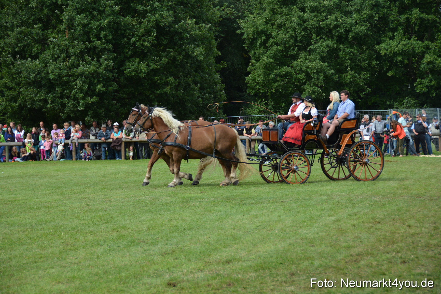 Pferdeschau JURA Volksfest 180814 0416