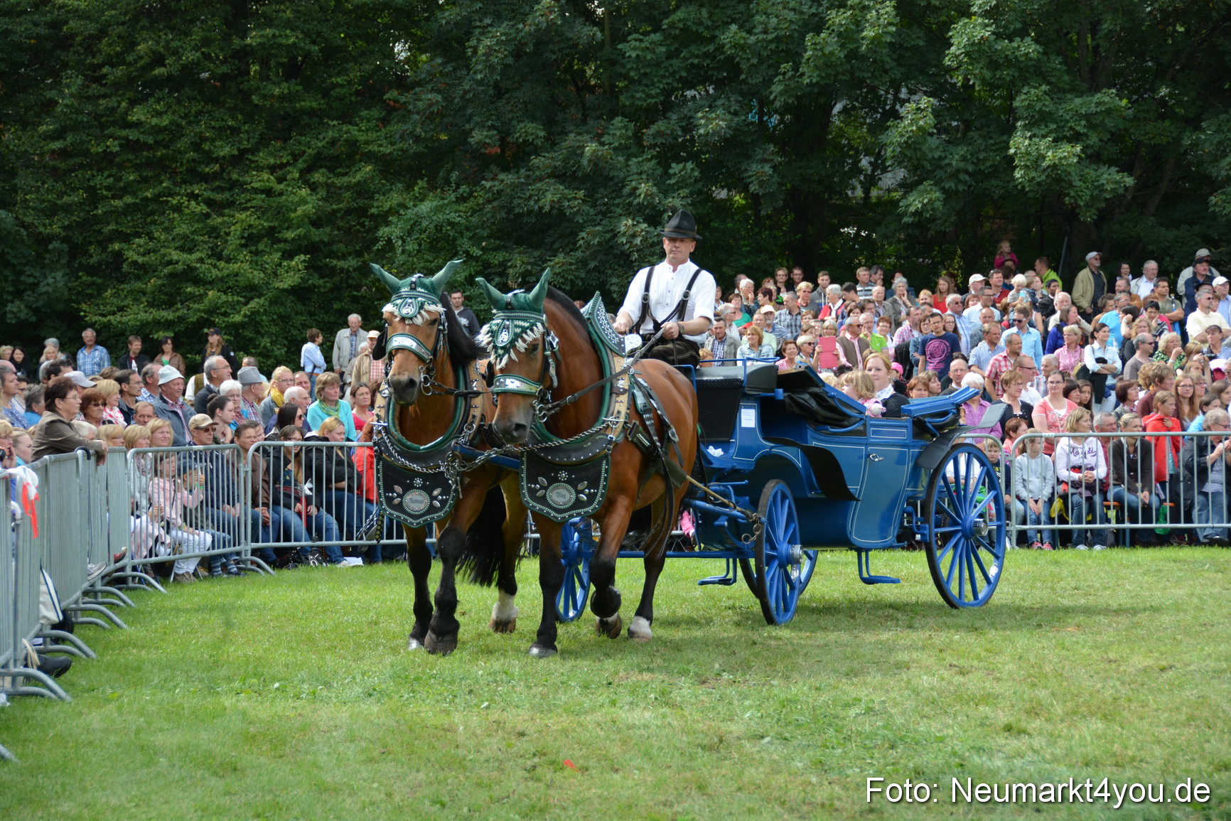 Pferdeschau JURA Volksfest 180814 0417