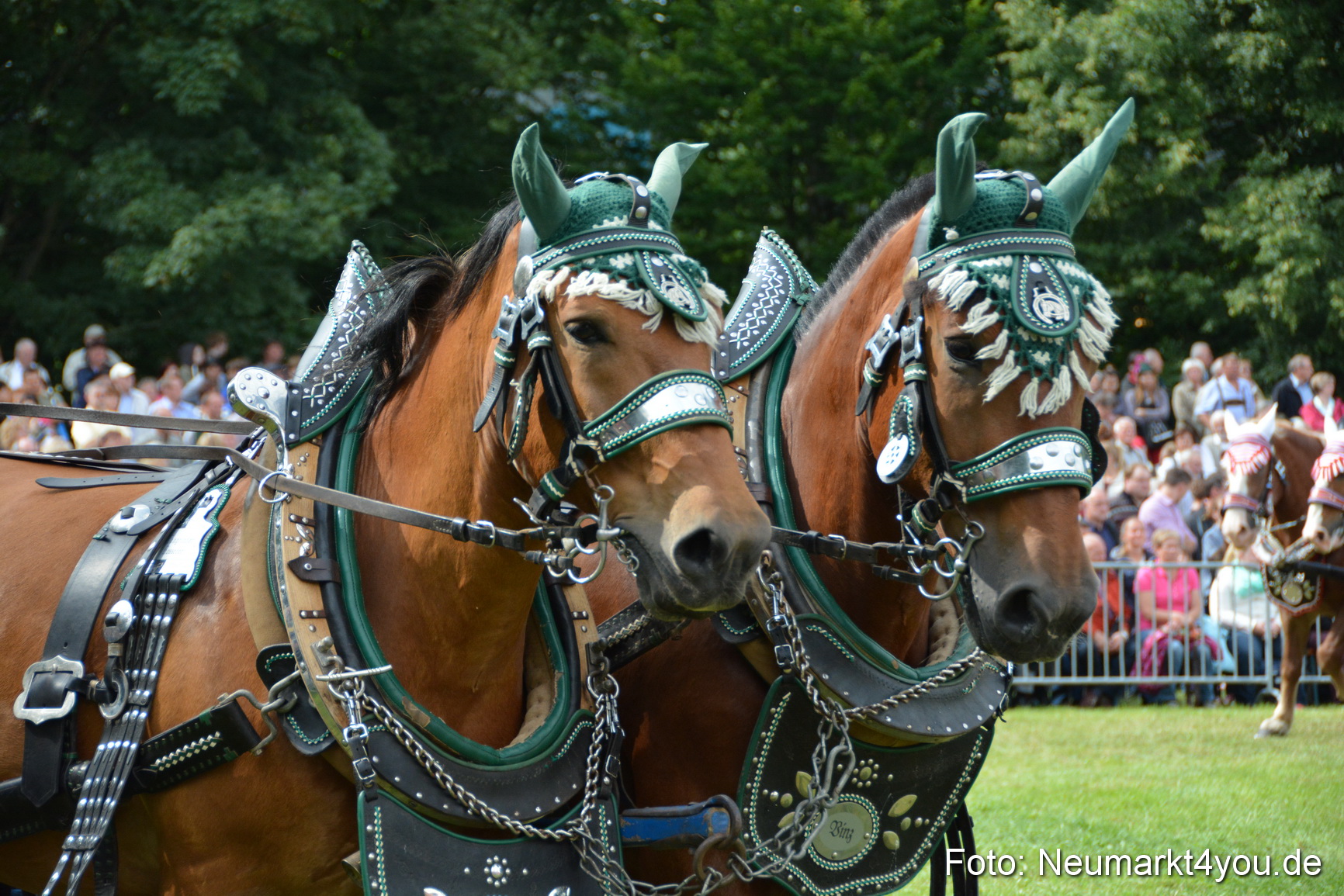 Pferdeschau JURA Volksfest 180814 0418