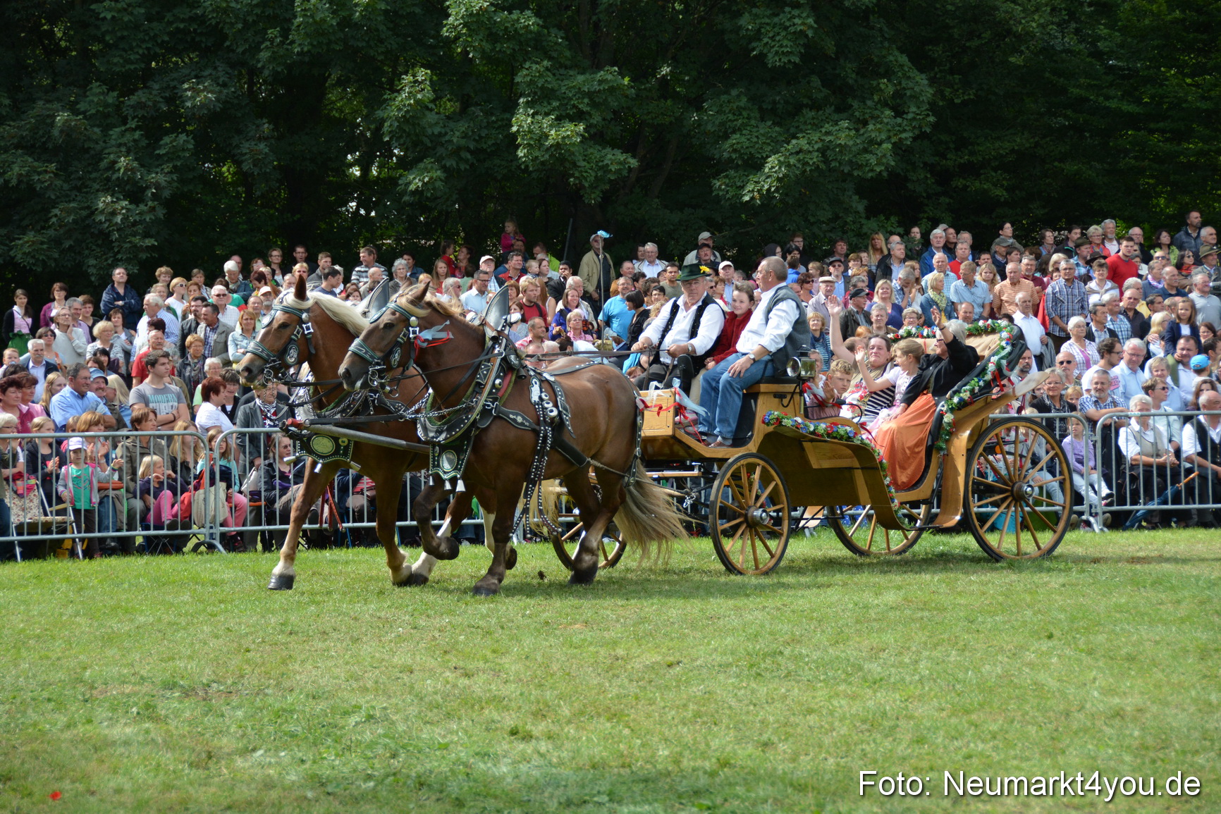 Pferdeschau JURA Volksfest 180814 0421