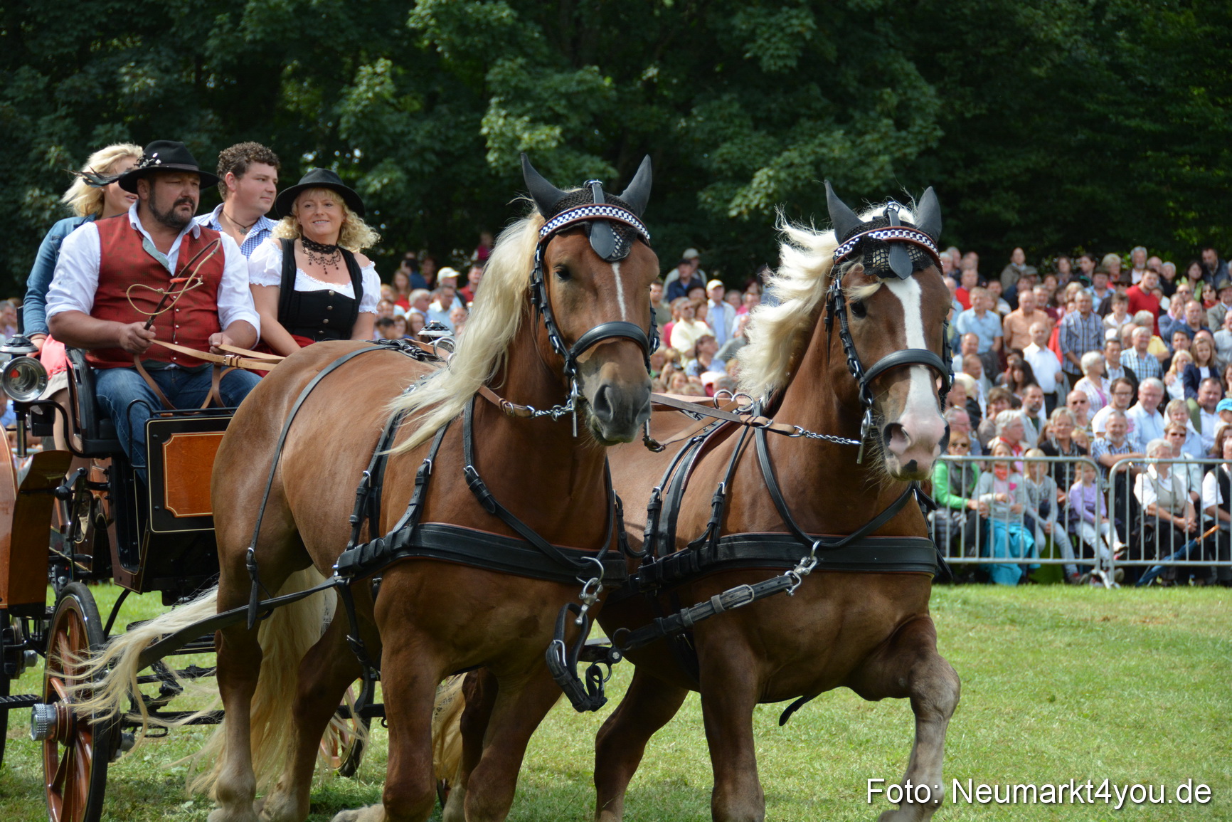 Pferdeschau JURA Volksfest 180814 0423
