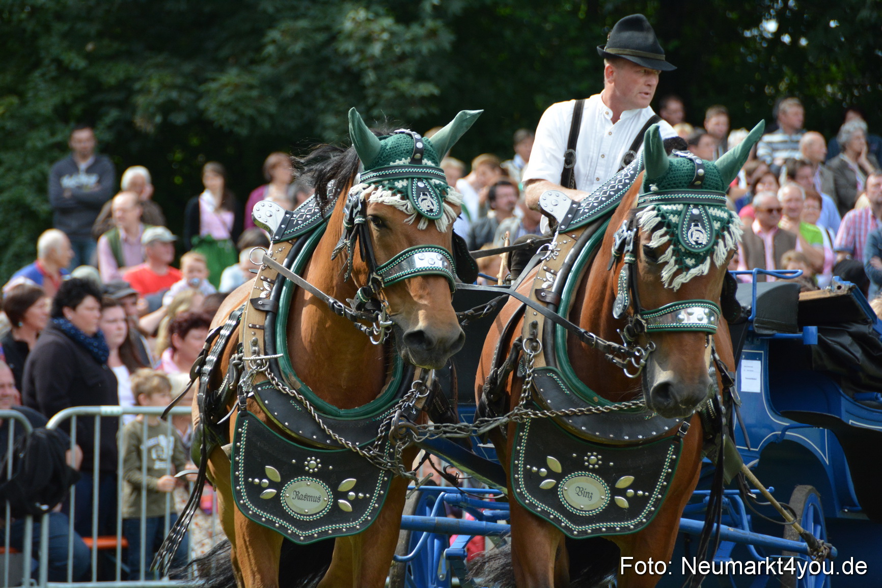 Pferdeschau JURA Volksfest 180814 0424
