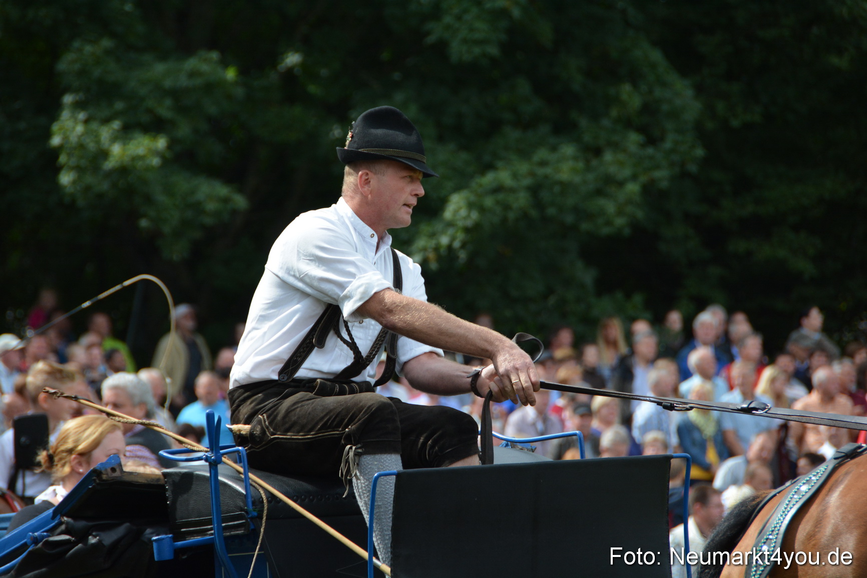Pferdeschau JURA Volksfest 180814 0425