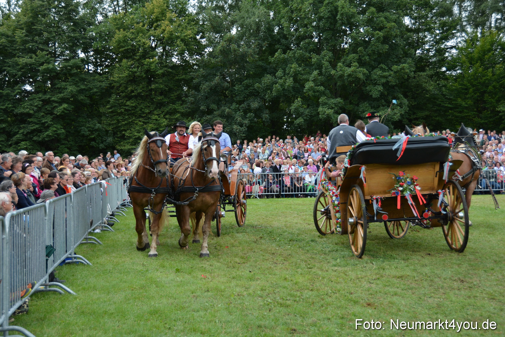 Pferdeschau JURA Volksfest 180814 0427