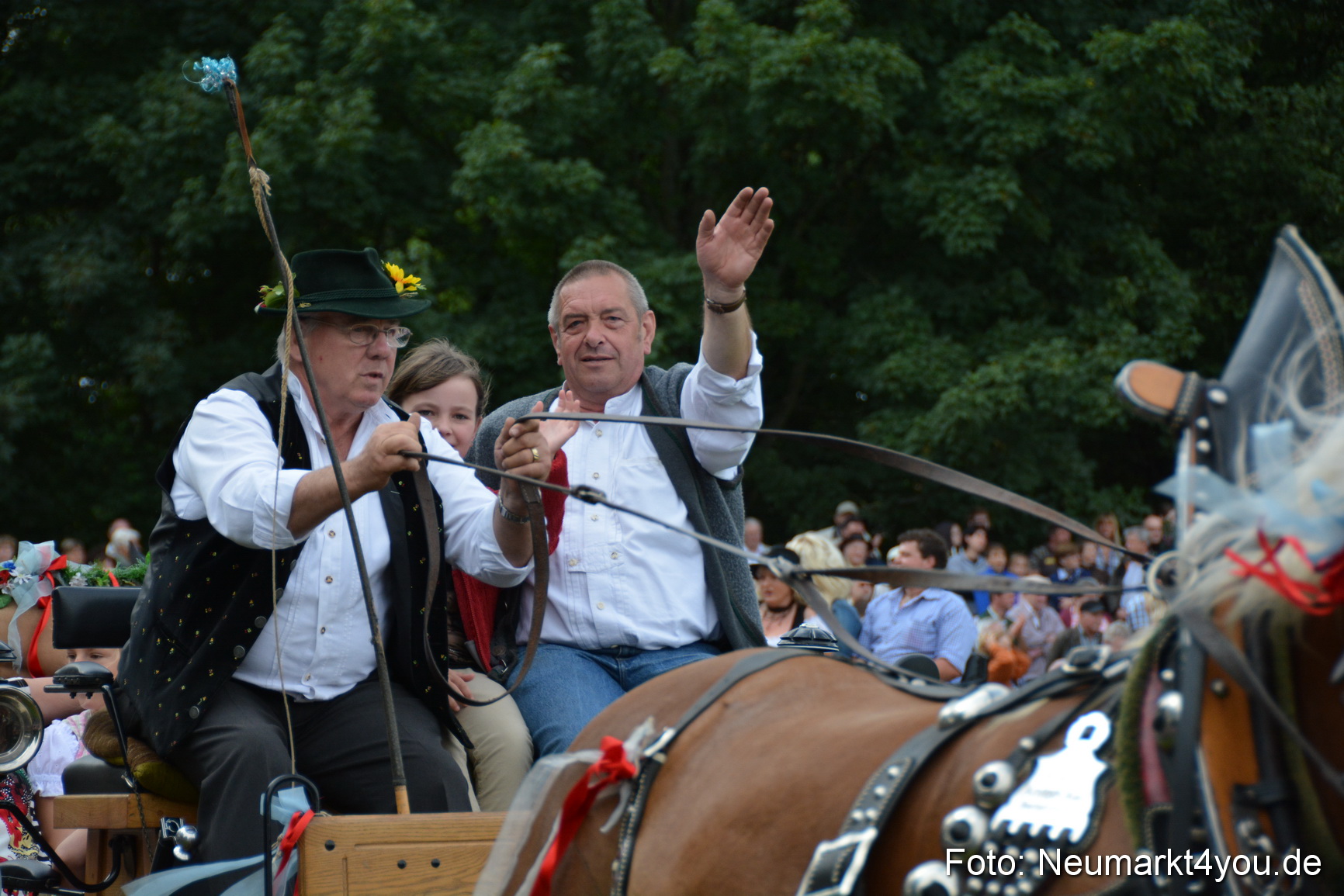 Pferdeschau JURA Volksfest 180814 0428