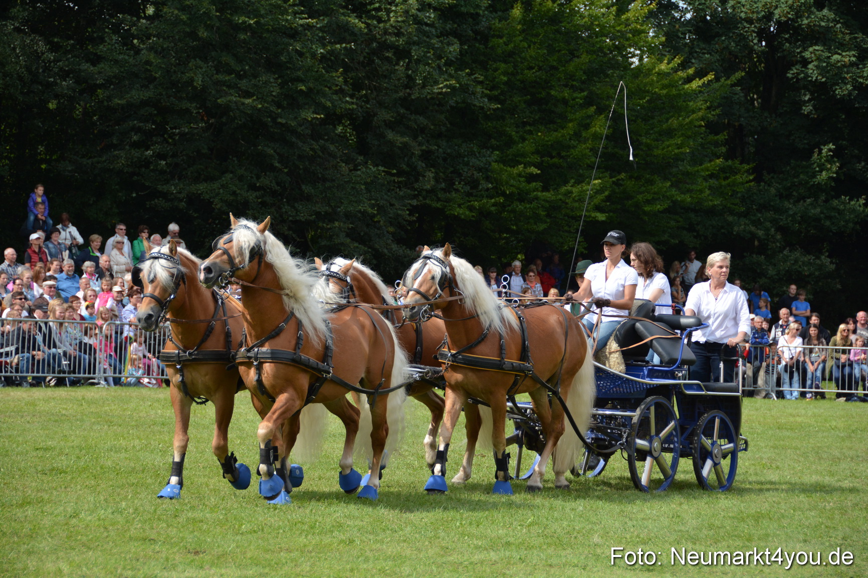 Pferdeschau JURA Volksfest 180814 0431