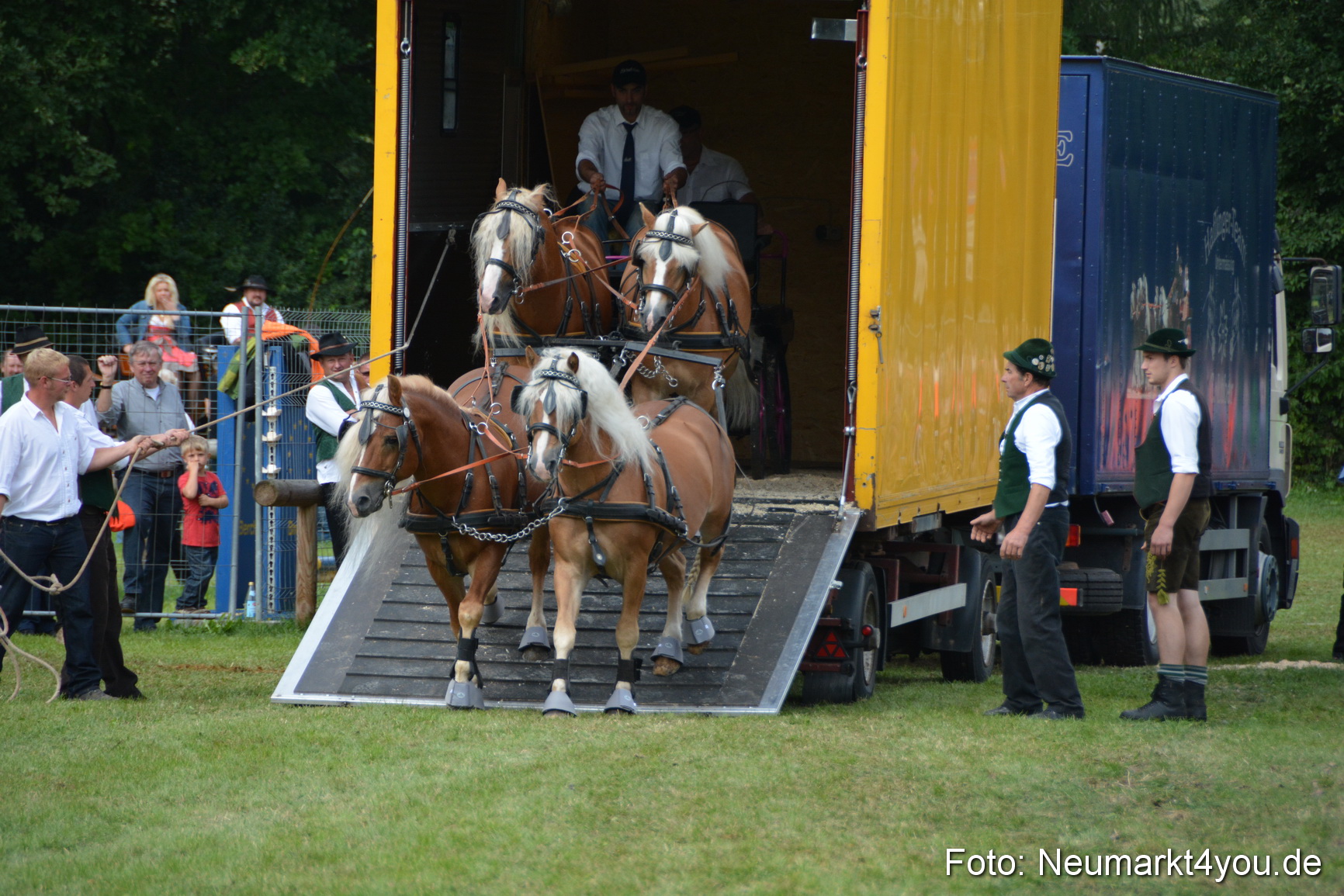 Pferdeschau JURA Volksfest 180814 0435