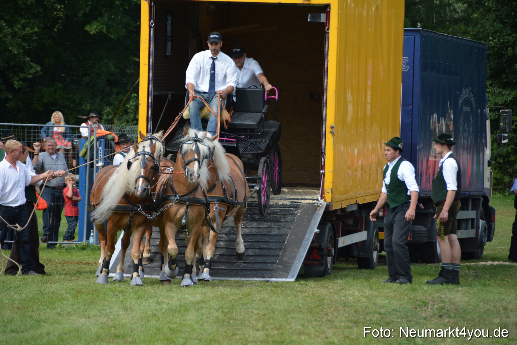 Pferdeschau JURA Volksfest 180814 0436