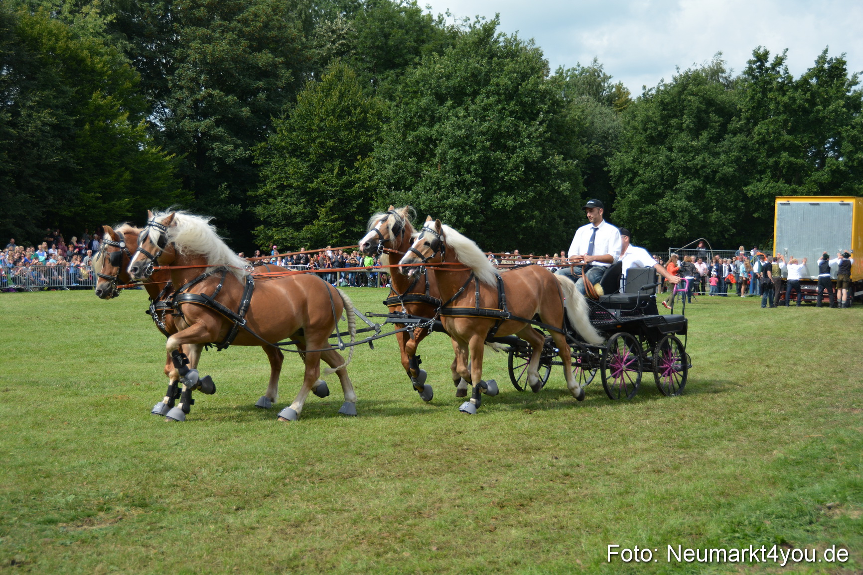Pferdeschau JURA Volksfest 180814 0437