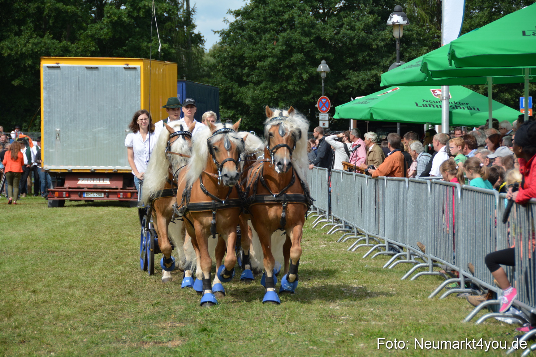 Pferdeschau JURA Volksfest 180814 0438