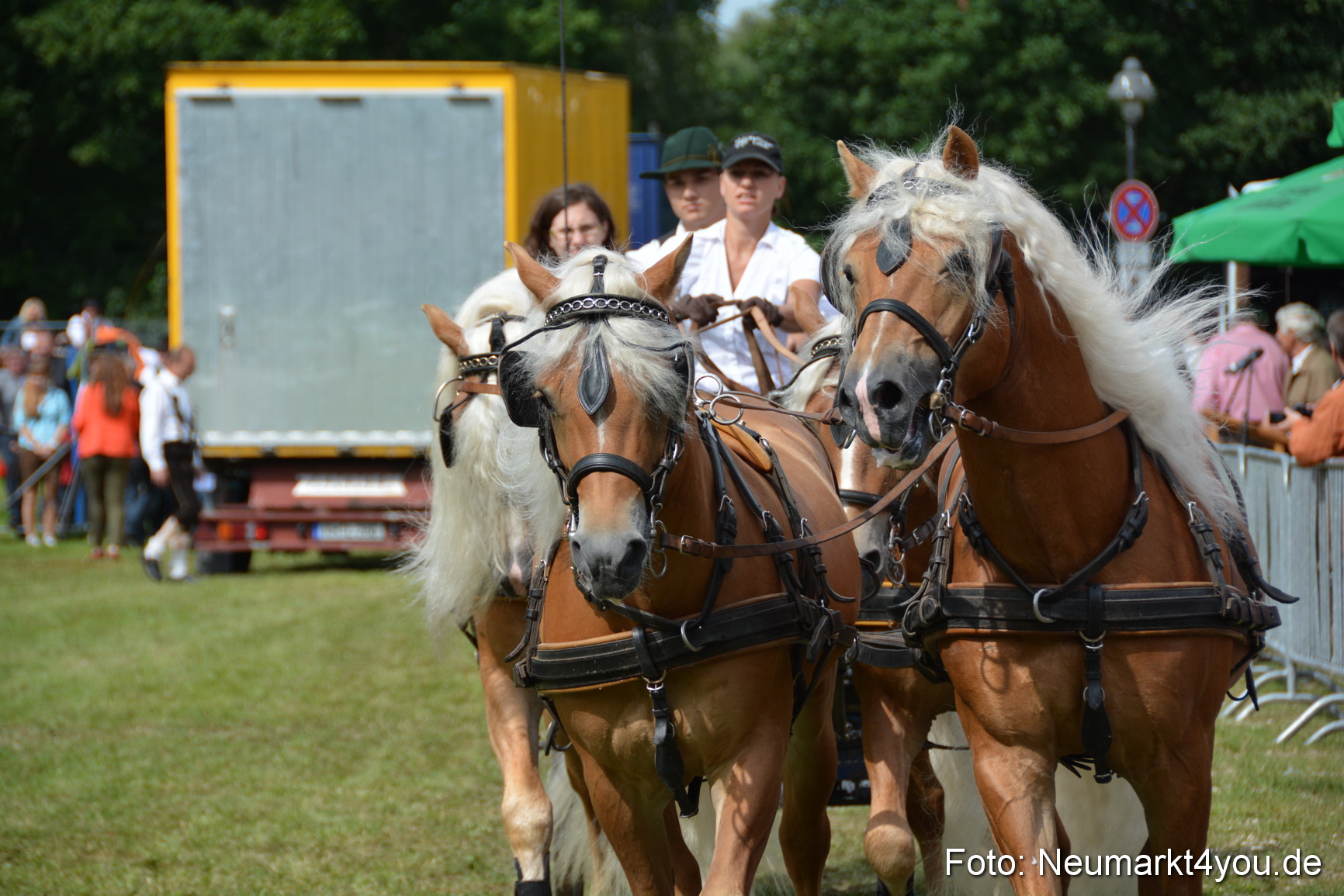 Pferdeschau JURA Volksfest 180814 0439