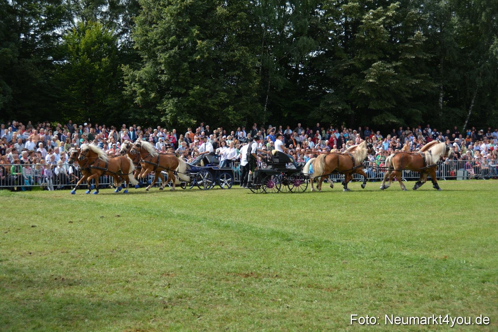 Pferdeschau JURA Volksfest 180814 0442