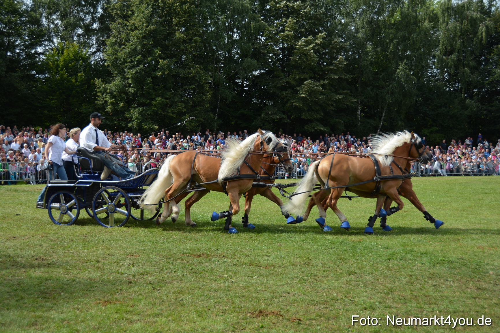 Pferdeschau JURA Volksfest 180814 0443