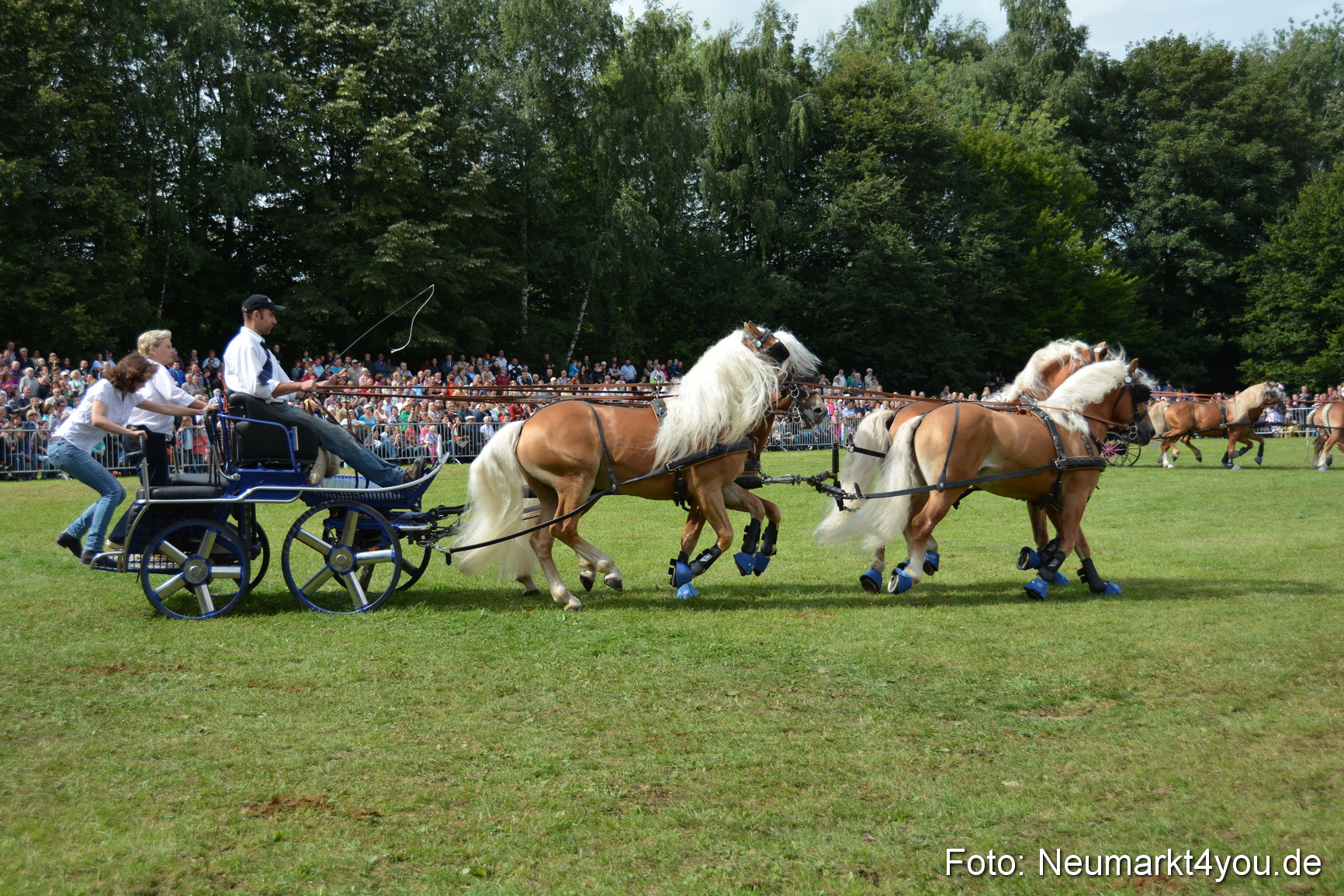 Pferdeschau JURA Volksfest 180814 0446