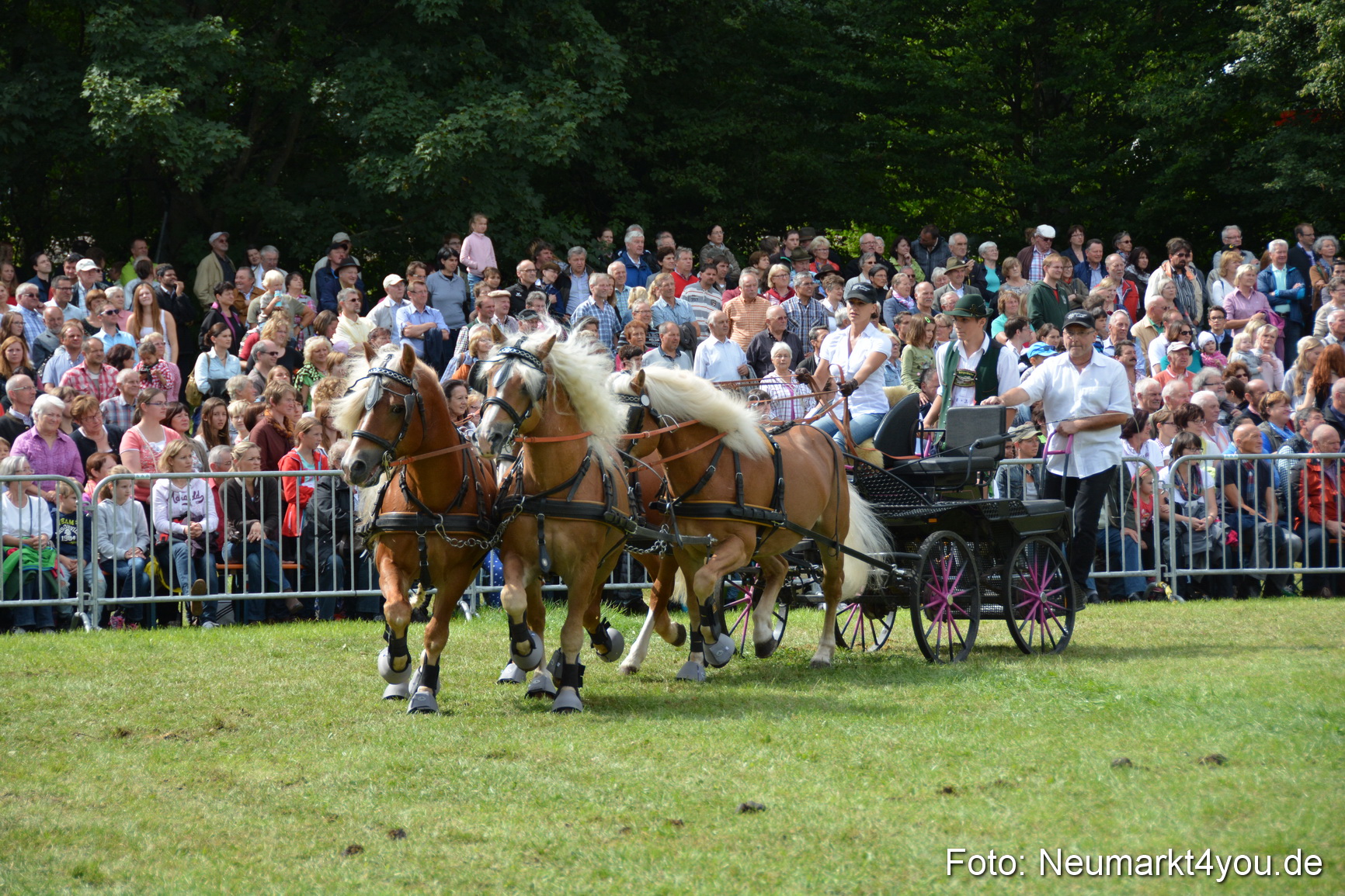 Pferdeschau JURA Volksfest 180814 0447