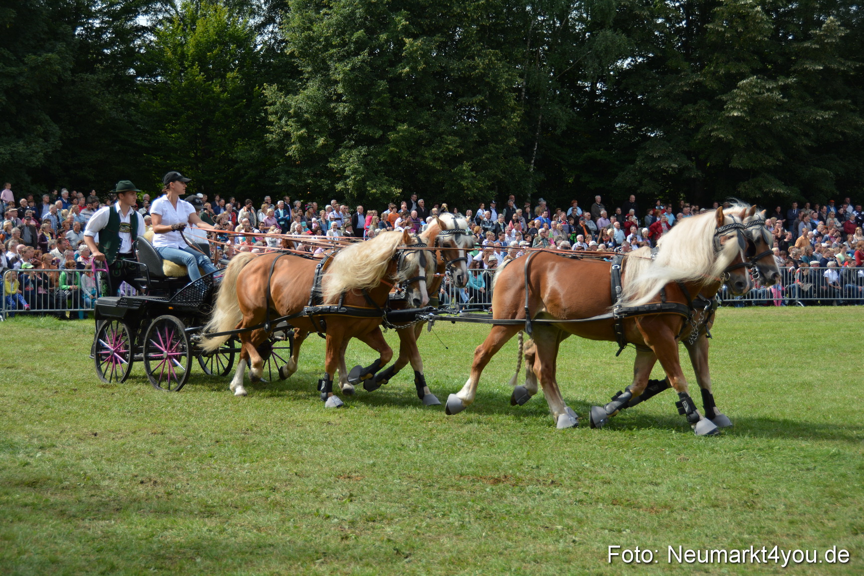 Pferdeschau JURA Volksfest 180814 0448