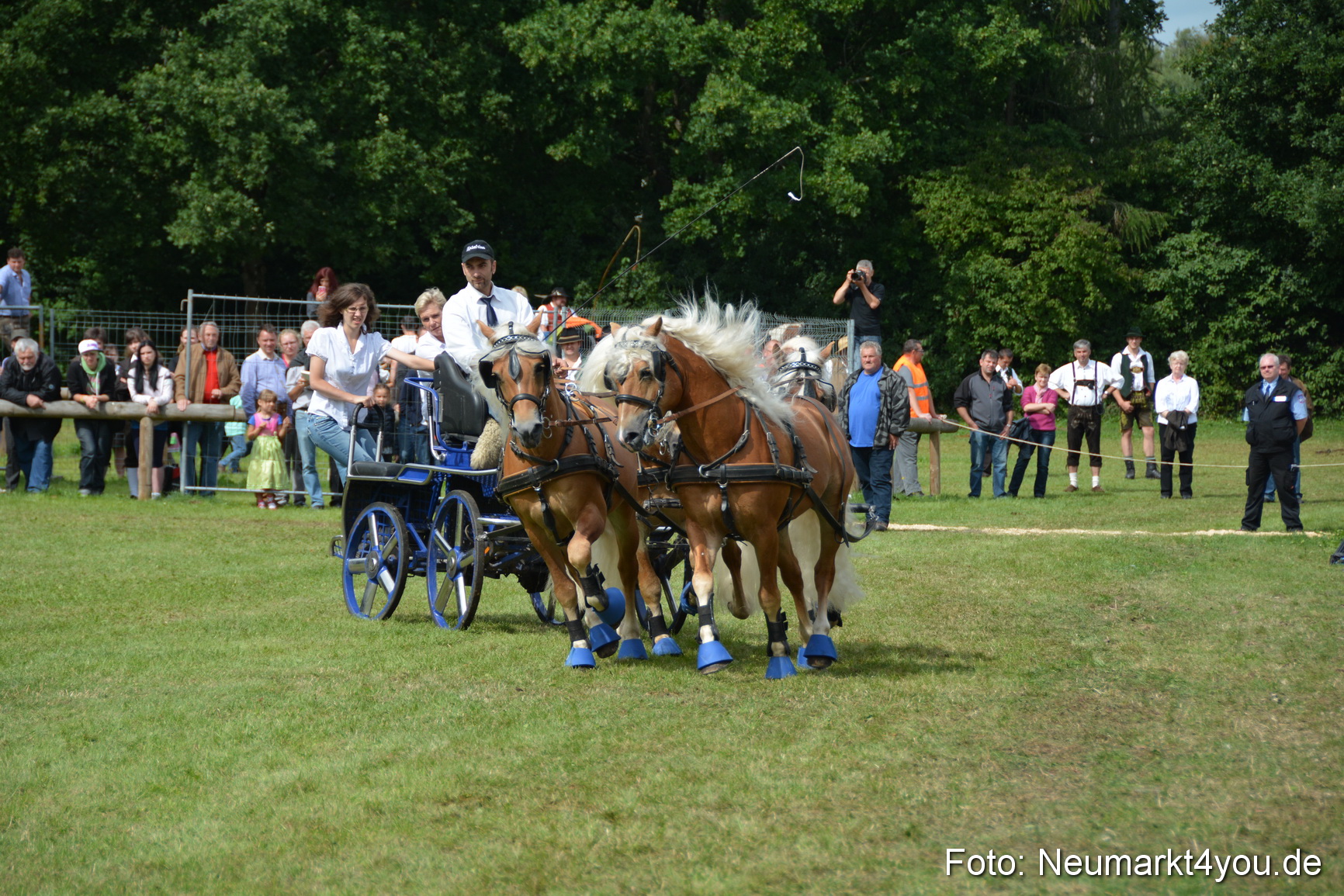 Pferdeschau JURA Volksfest 180814 0449