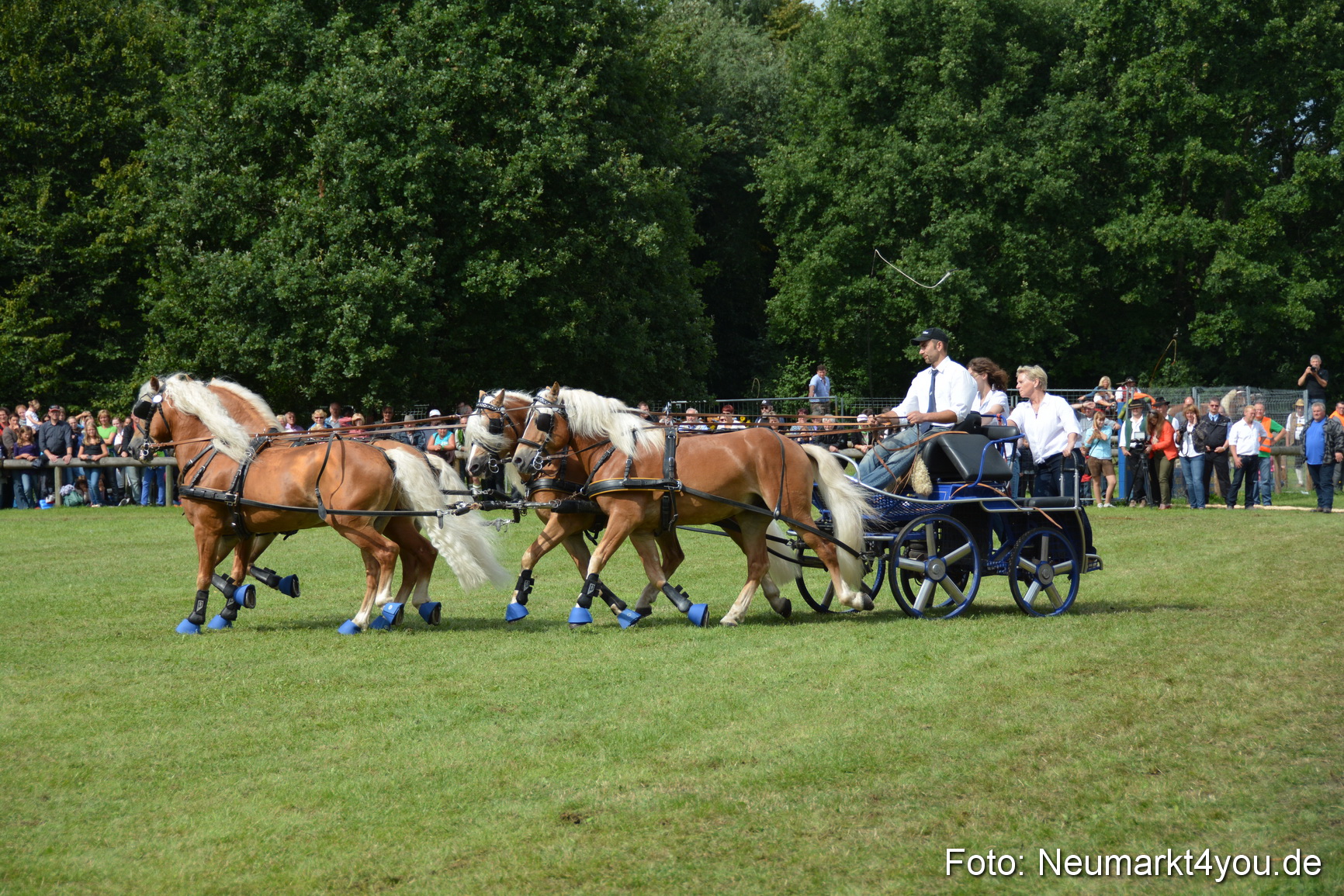 Pferdeschau JURA Volksfest 180814 0450