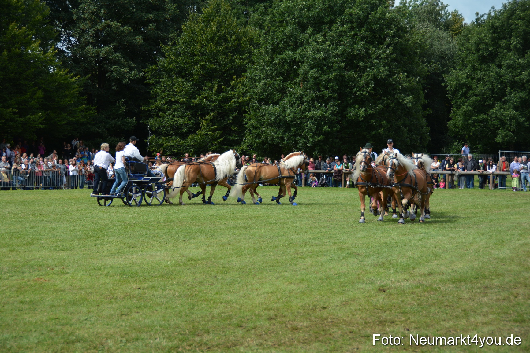 Pferdeschau JURA Volksfest 180814 0452