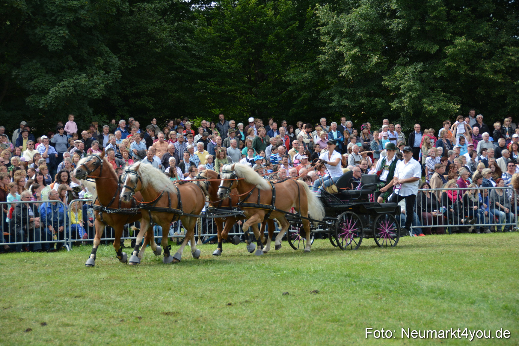 Pferdeschau JURA Volksfest 180814 0454