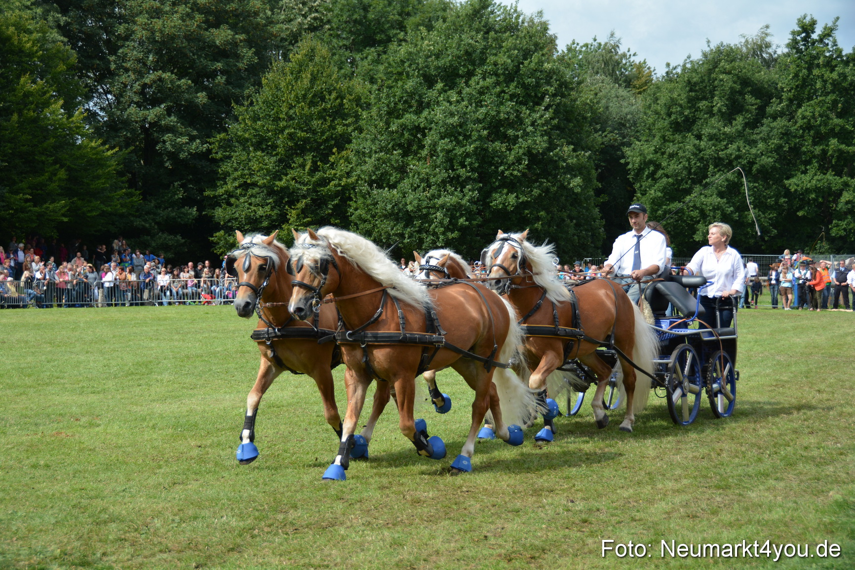 Pferdeschau JURA Volksfest 180814 0458