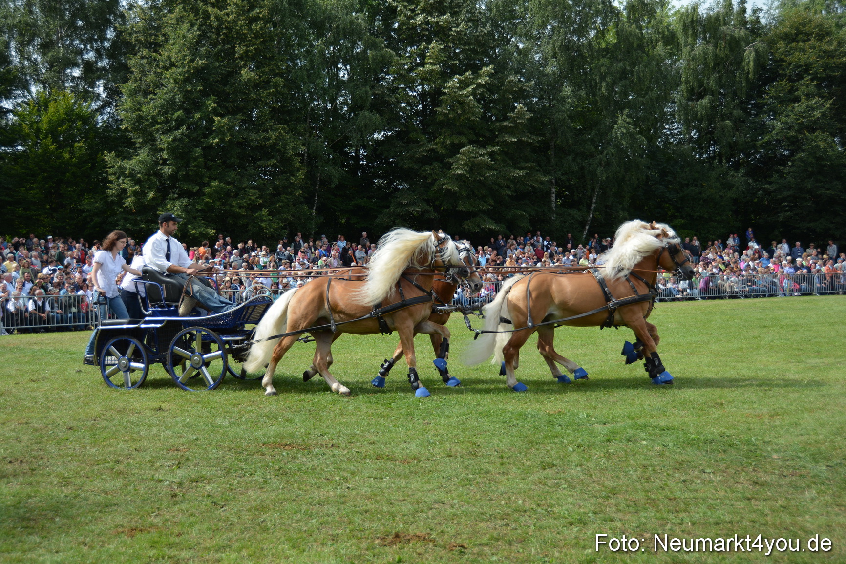 Pferdeschau JURA Volksfest 180814 0460