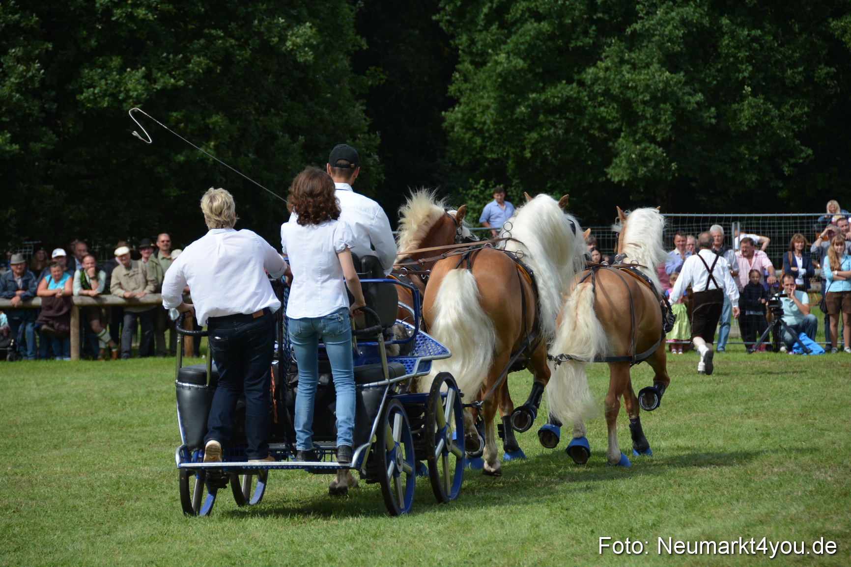 Pferdeschau JURA Volksfest 180814 0461