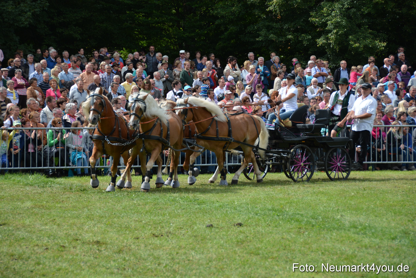 Pferdeschau JURA Volksfest 180814 0462