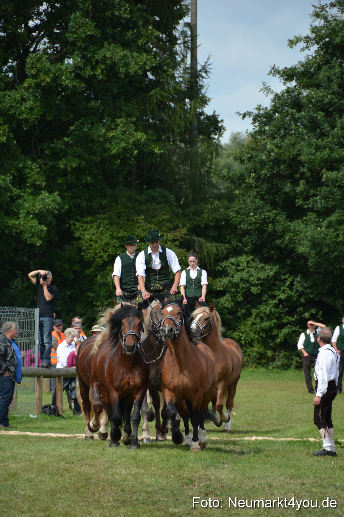 Pferdeschau JURA Volksfest 180814 0464