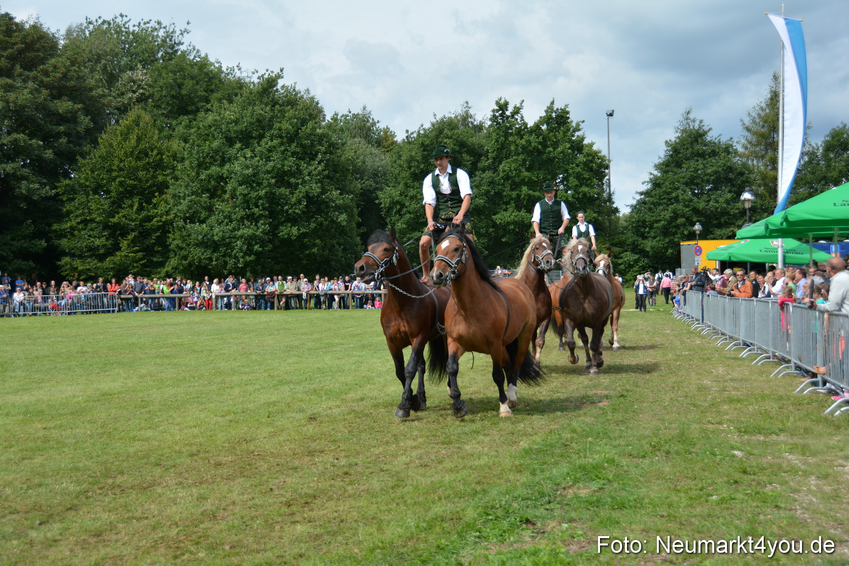 Pferdeschau JURA Volksfest 180814 0465