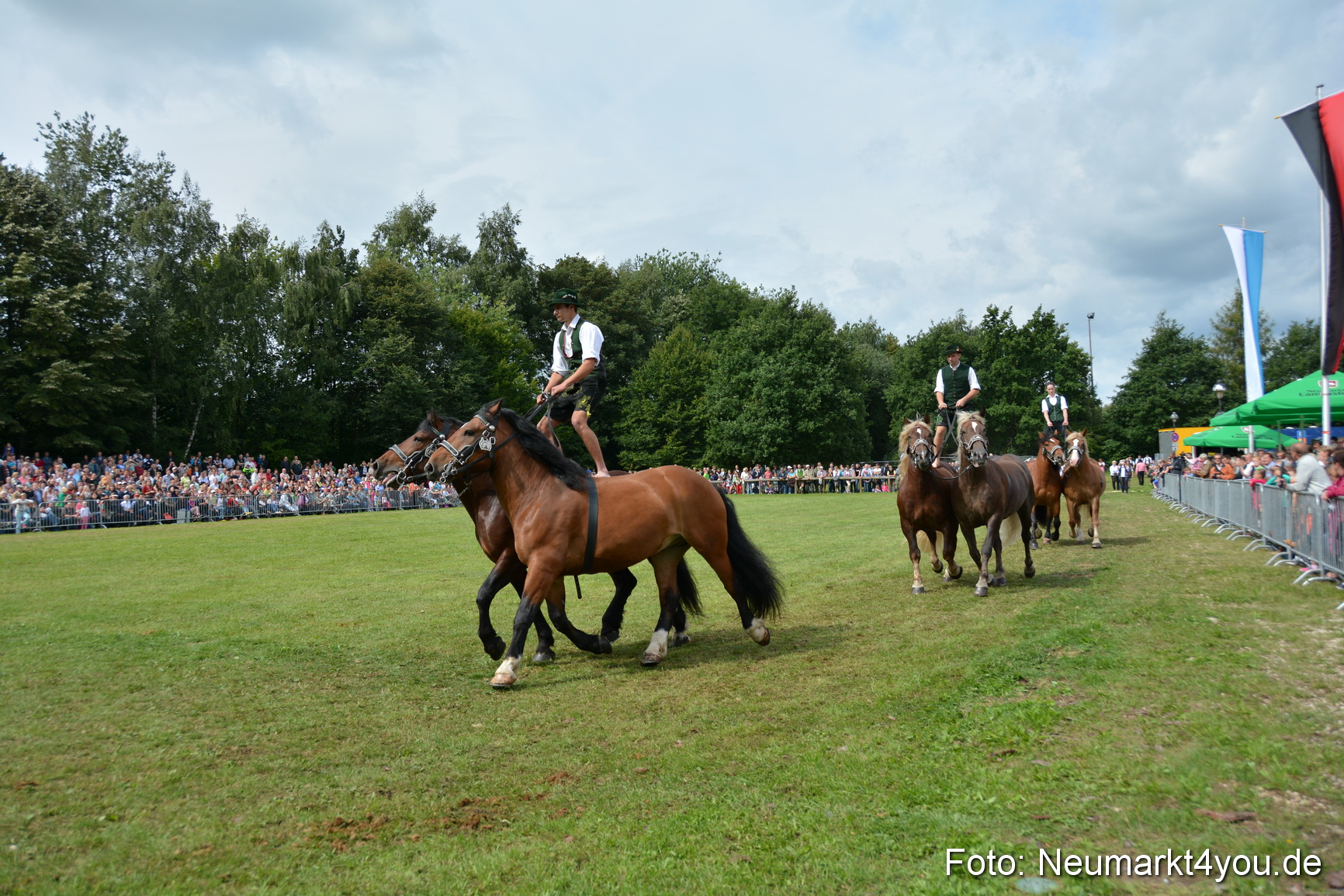 Pferdeschau JURA Volksfest 180814 0466