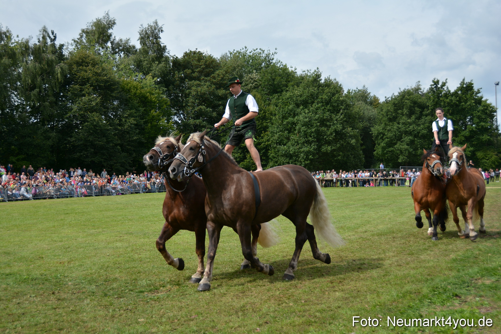 Pferdeschau JURA Volksfest 180814 0468