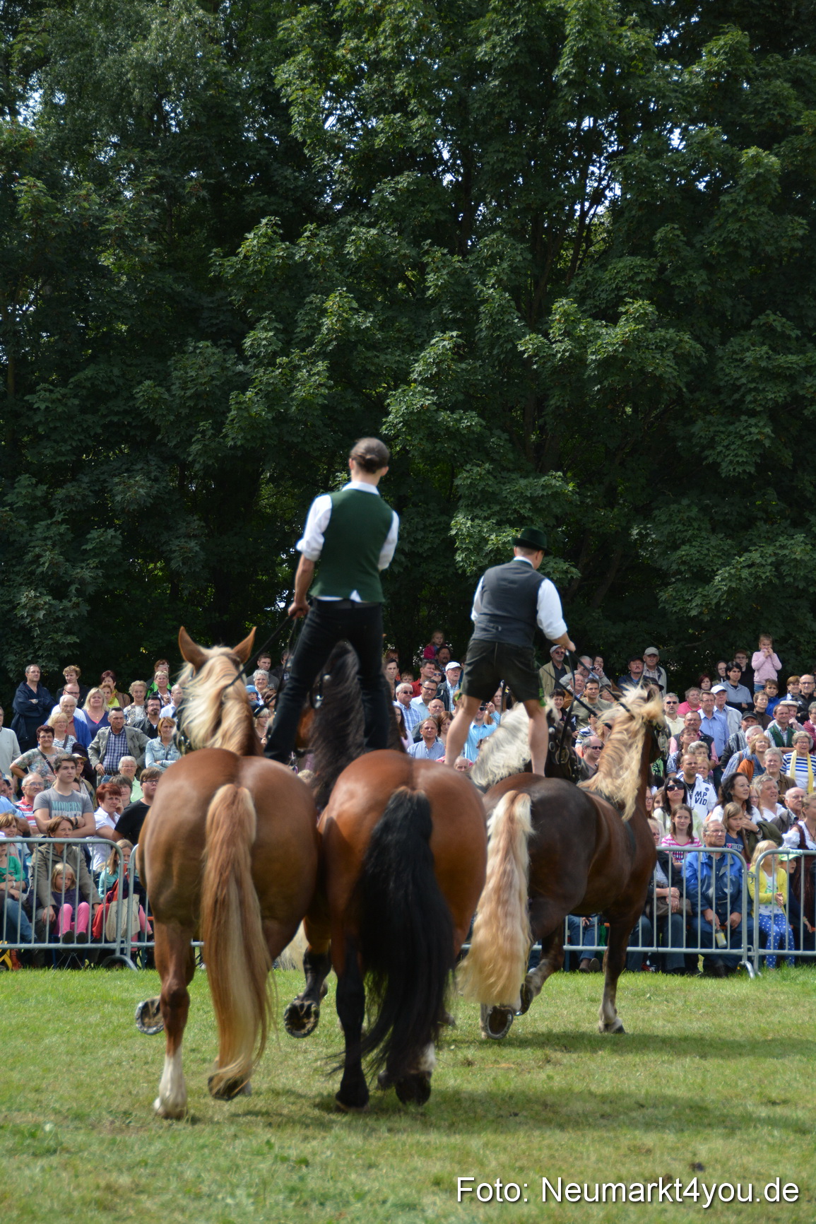 Pferdeschau JURA Volksfest 180814 0470