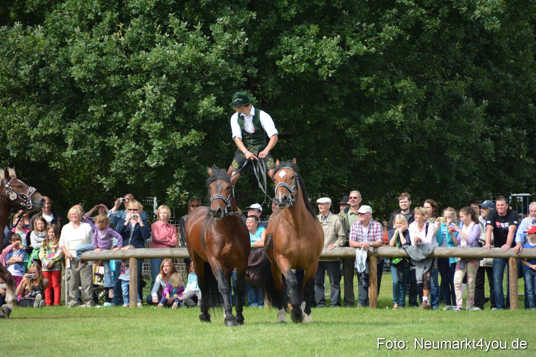 Pferdeschau JURA Volksfest 180814 0471