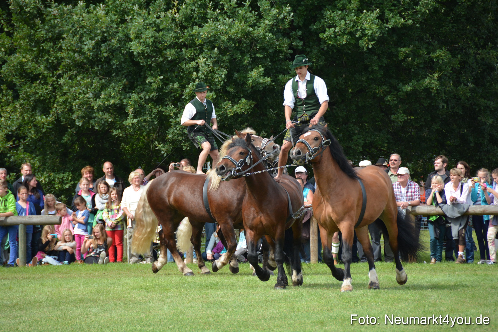 Pferdeschau JURA Volksfest 180814 0472