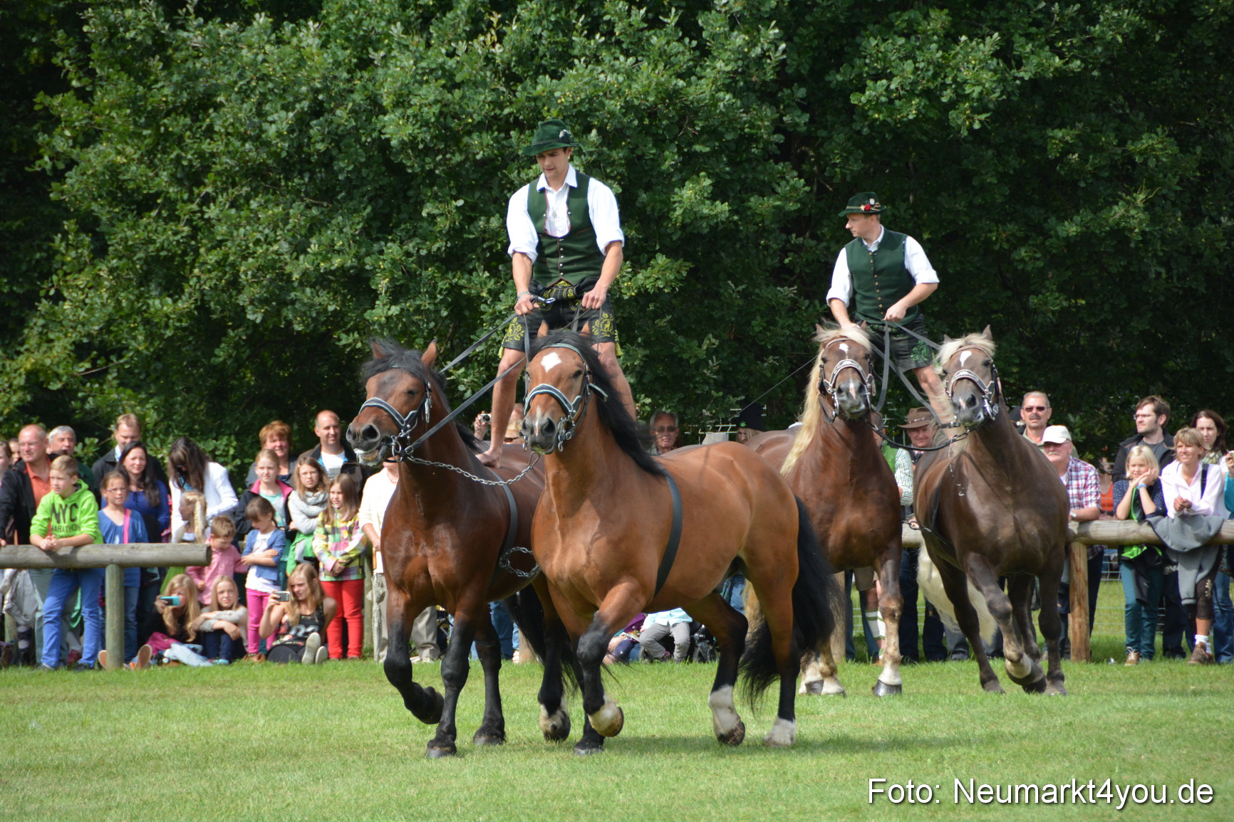 Pferdeschau JURA Volksfest 180814 0473