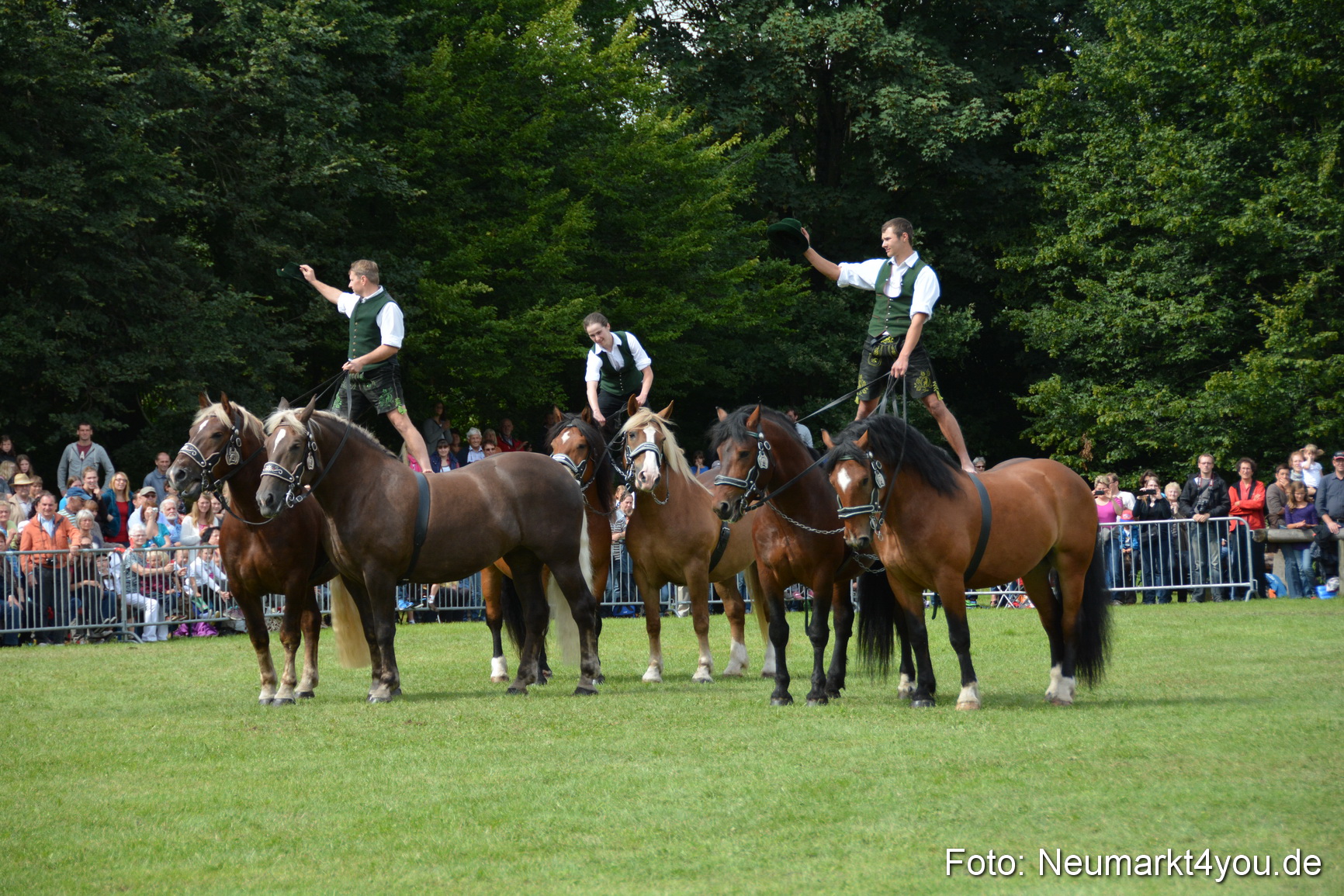 Pferdeschau JURA Volksfest 180814 0474