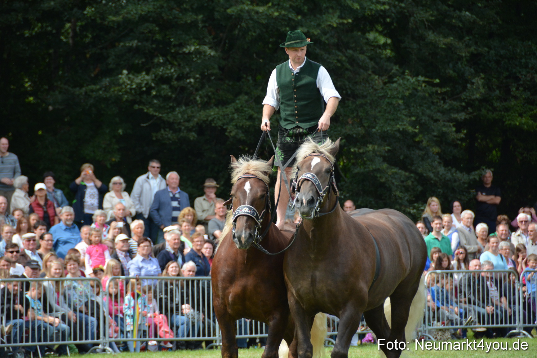 Pferdeschau JURA Volksfest 180814 0475