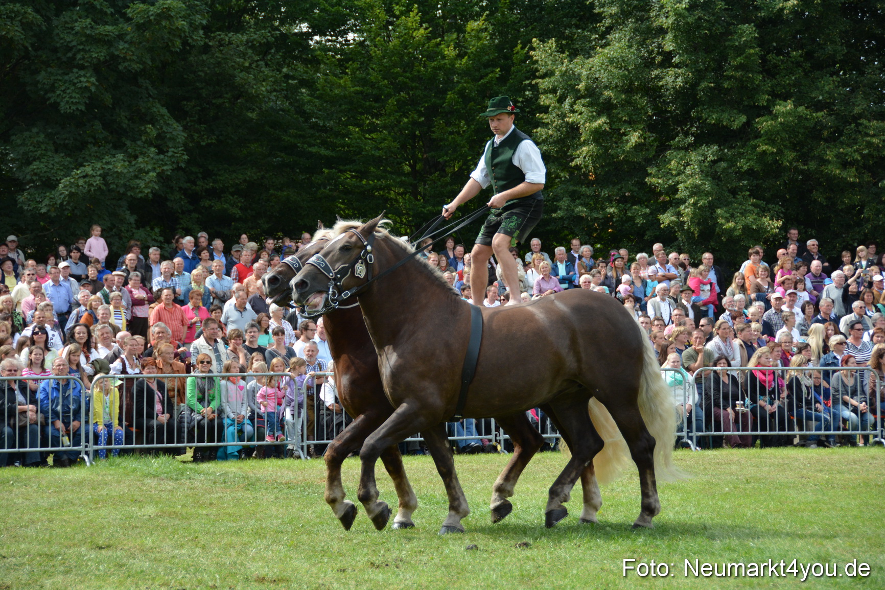 Pferdeschau JURA Volksfest 180814 0476
