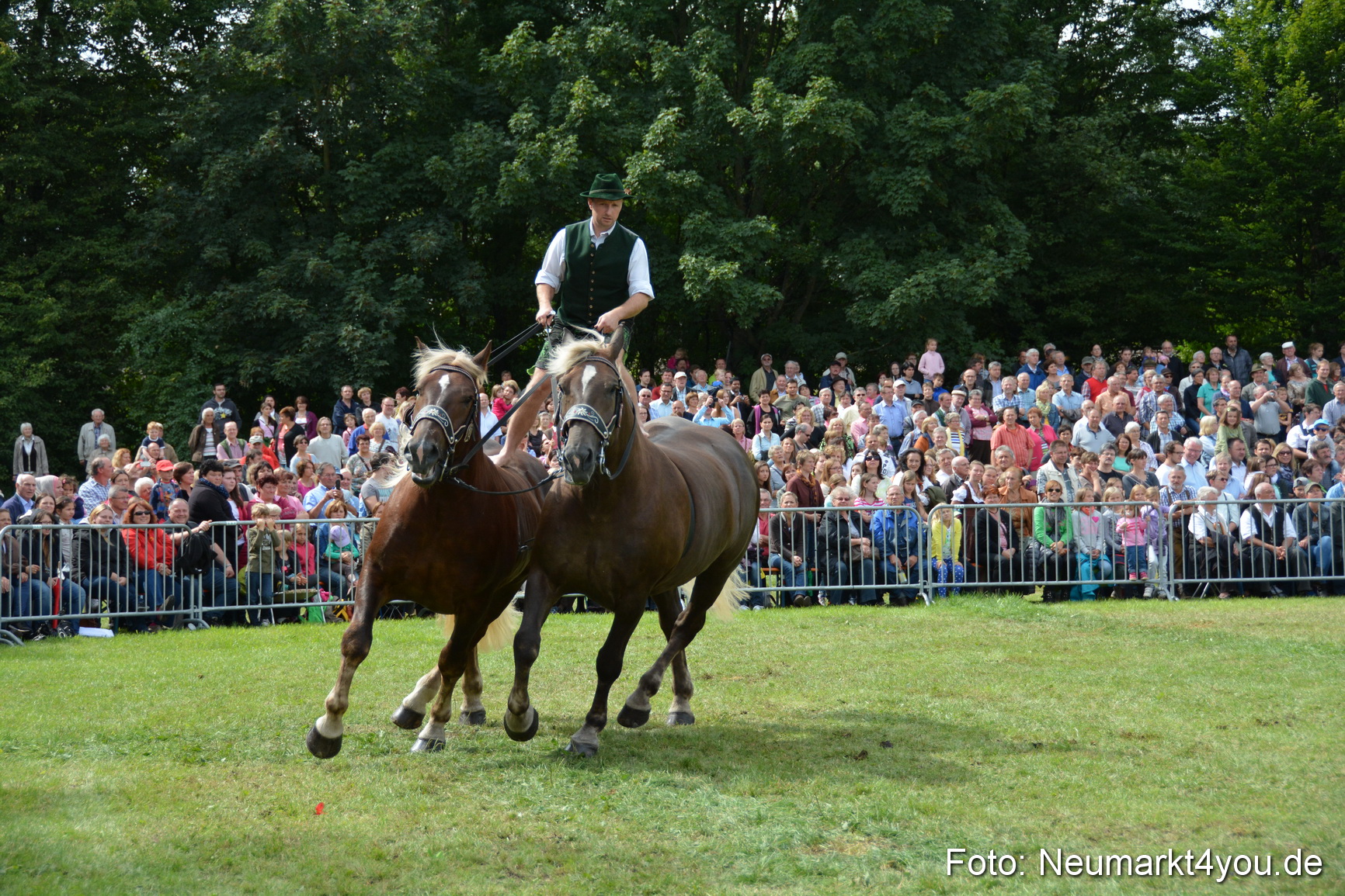 Pferdeschau JURA Volksfest 180814 0477