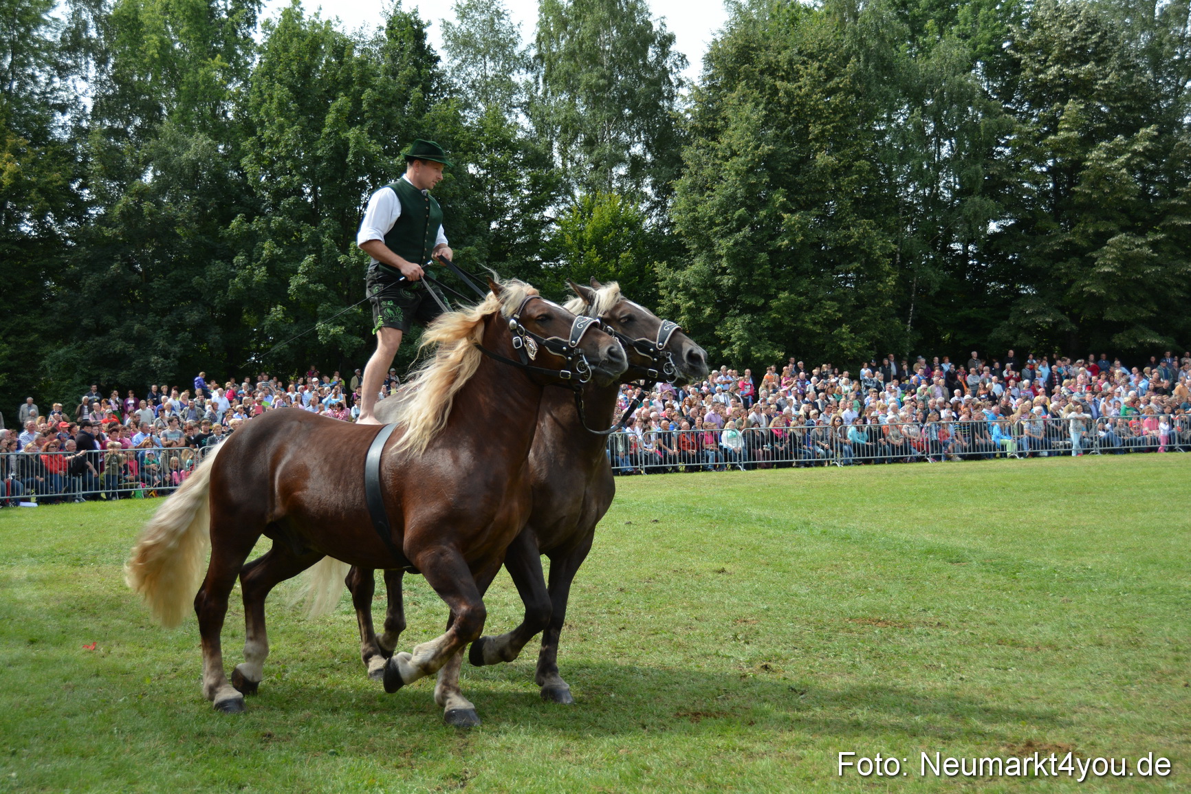 Pferdeschau JURA Volksfest 180814 0478