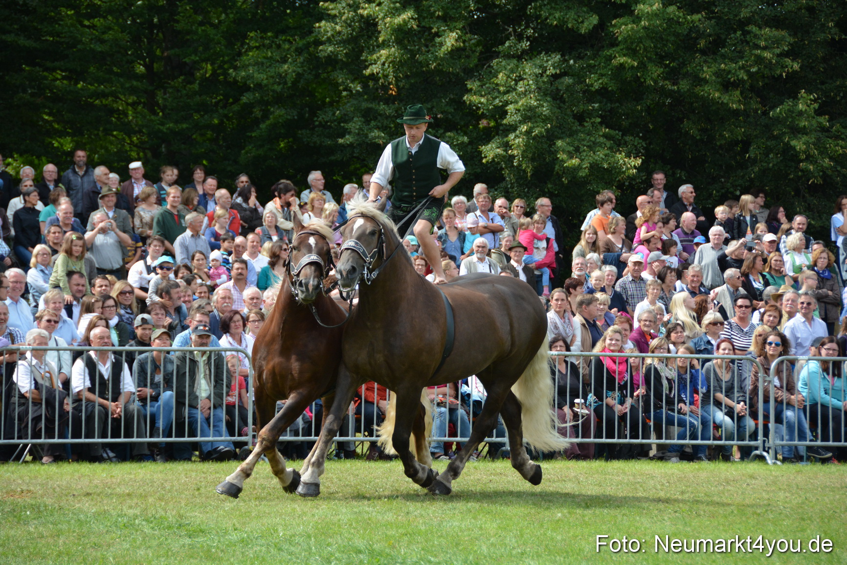 Pferdeschau JURA Volksfest 180814 0479