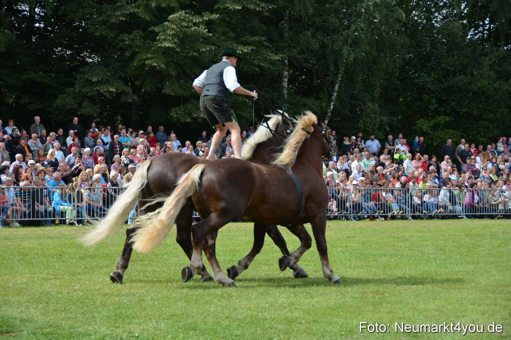 Pferdeschau JURA Volksfest 180814 0480