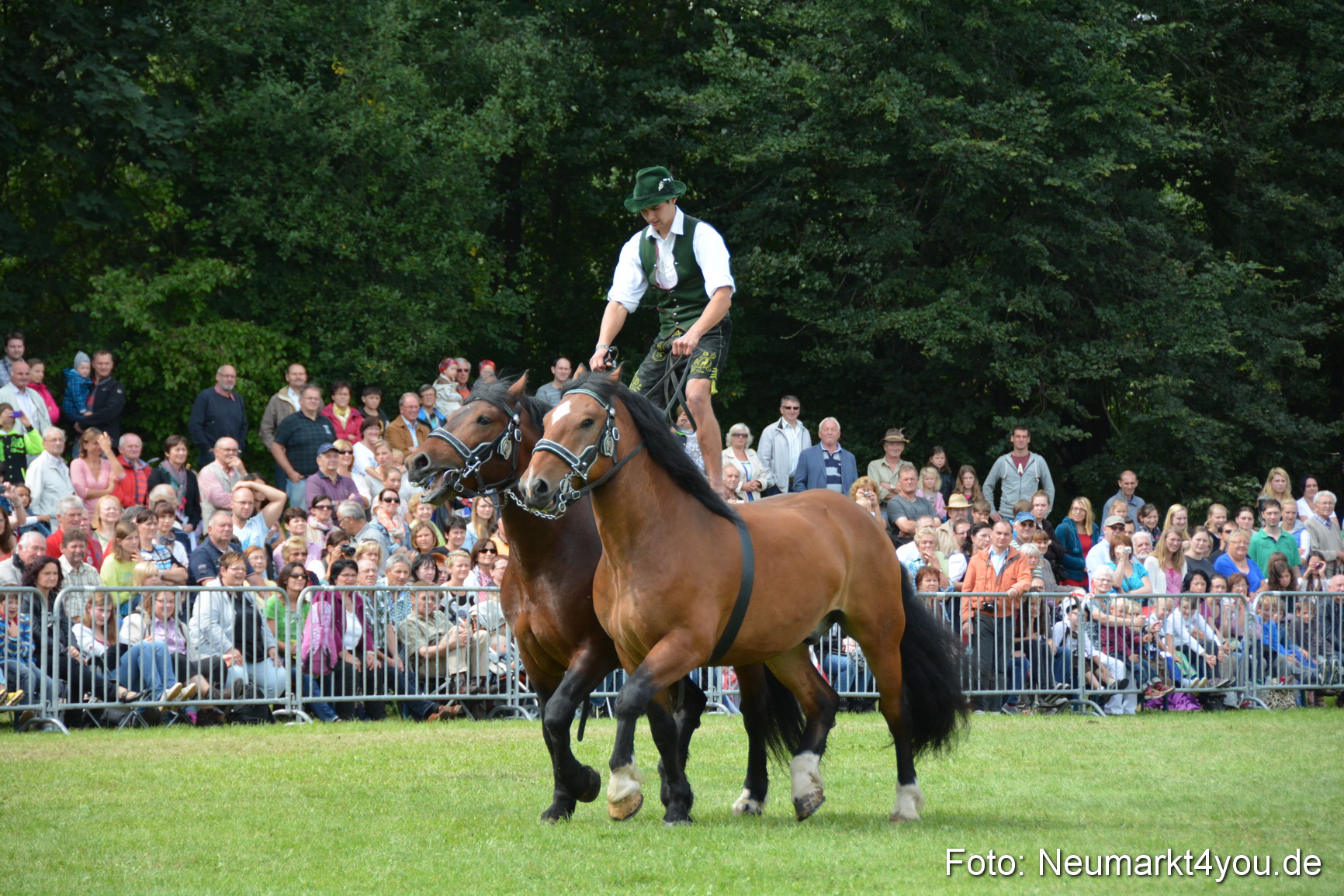 Pferdeschau JURA Volksfest 180814 0481