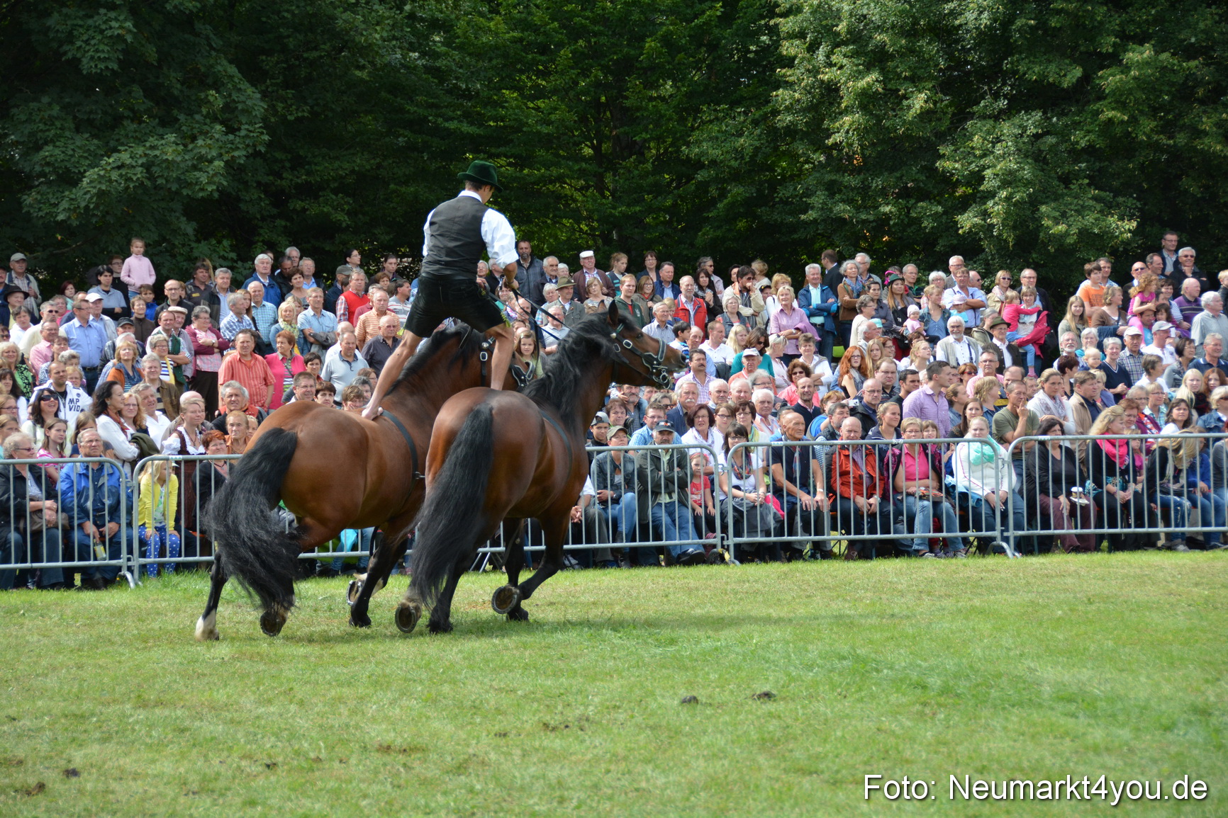 Pferdeschau JURA Volksfest 180814 0482
