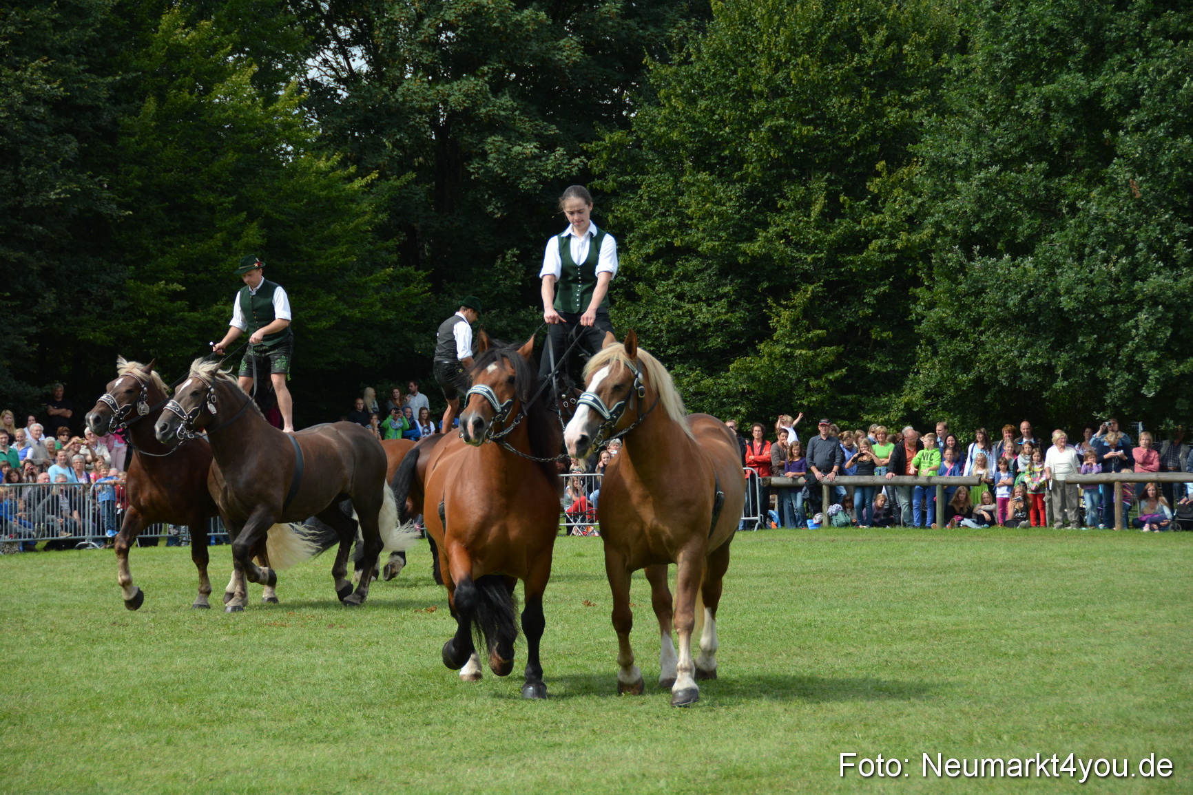 Pferdeschau JURA Volksfest 180814 0483